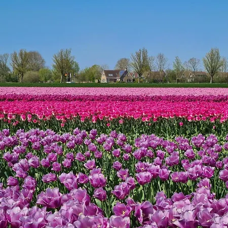 553 Op Recreatiepark De Wielen شاليه *