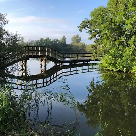 553 Op Recreatiepark De Wielen سينت مارتن