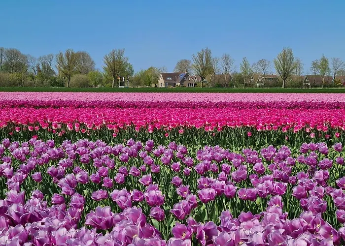 553 Op Recreatiepark De Wielen Chalet *